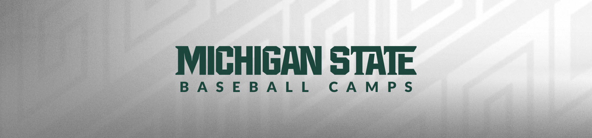 MSU Baseball Camps